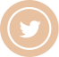X / Twitter